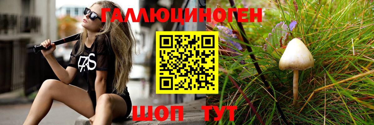 Псилоцибиновые грибы GOLDEN TEACHER  Вход с VPN  Псилоцибиновые грибы Cubensis  Кирово-Чепецк 