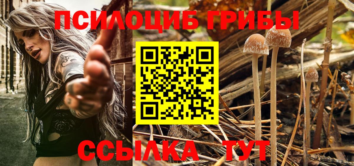 Псилоцибиновые грибы MAGIC MUSHROOMS Кирово-Чепецк
